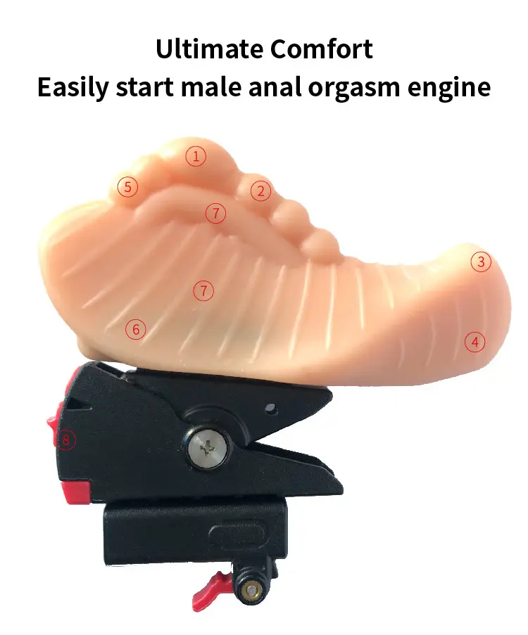 Standard-Size Massage Head101ybh